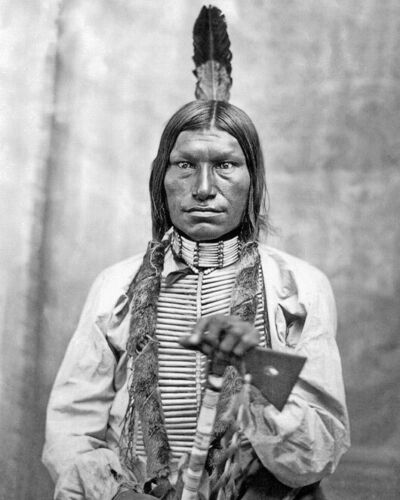 1881 Native American Indian CHIEF LOW DOG 8x10 Photo Oglala Sioux Print Poster