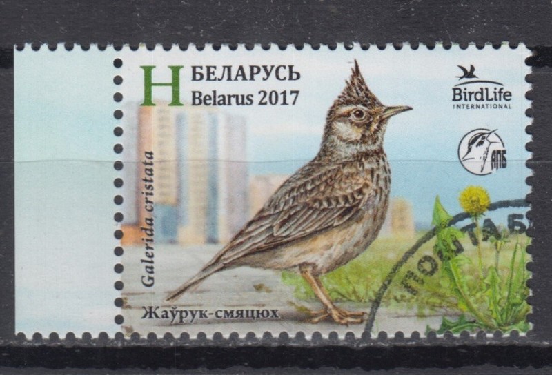 Weissrussland 2017 Vogel Des Jahres Haubenlerche Galerida Cristata Fauna