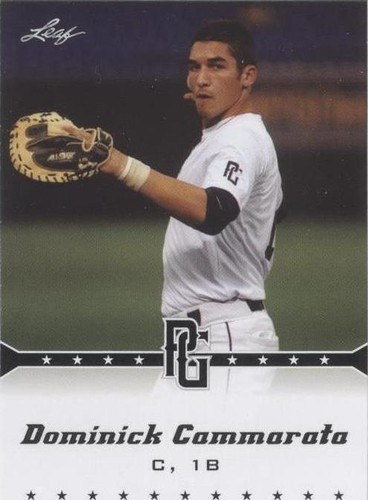 2013 Leaf Perfect Game Showcase - Dominick Cammarata #223