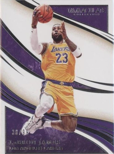 2019-20 Panini Immaculate Collection - LeBron James #45