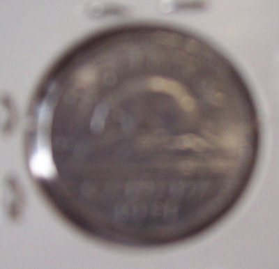 CANADAIN FIVE CENT NICKEL 1951 BEAVER REVERSE COIN