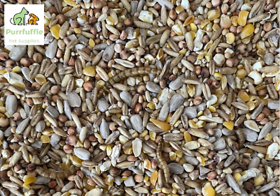 Bulk bird supplies 2025