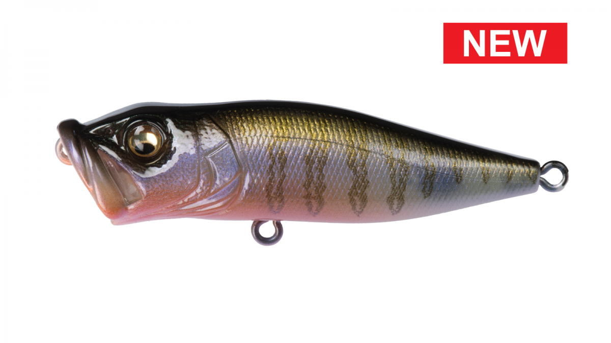 MEGABASS Pop-X - Secret Gill - Topwater Popper Bass Lure | eBay