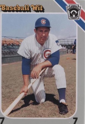 1990 Baseball Wit - Ron Santo #14