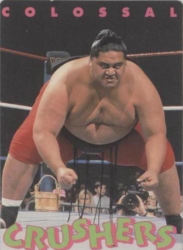 1994 Action Packed WWF - Yokozuna #30