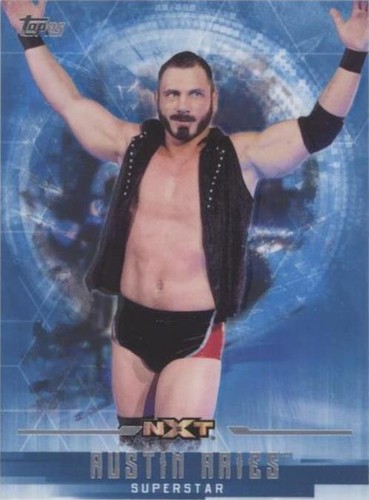 2017 Topps WWE Undisputed - Austin Aries #43
