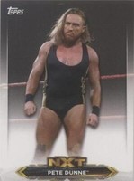 2020 Topps WWE NXT - Pete Dunne #NXT-35
