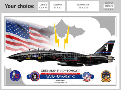 F-14 D “TOMCAT” VX-9 VAMPIRES - “ Vandy One” - Airplane Profile | eBay