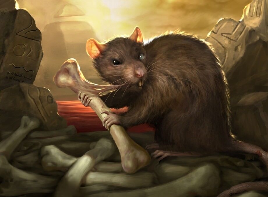 50 Rat Cards With 3 rares lot collection MTG Magic the 50 Rat Cards With 3 rares lot collection MTG Magic the