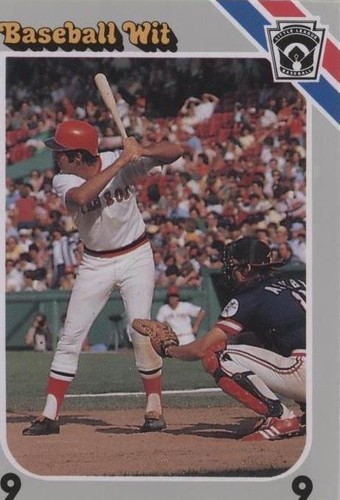 1990 Baseball Wit - Fred Lynn #28