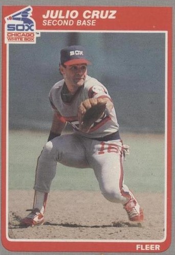 1985 Fleer - Julio Cruz #510