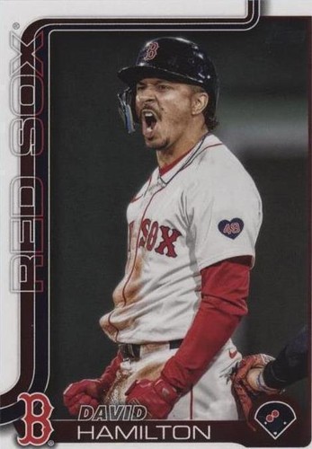 【Hamilton Pictures: David Hamilton】94’初版 David Hamilton Trading Card Values | Sportlots Price Guide