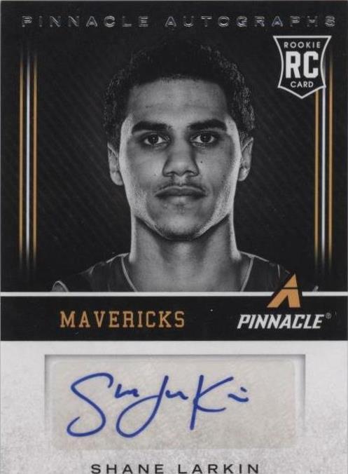 Panini Pinnacle 2013-14 - Shane Larkin #174