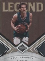 2010-11 Panini Limited - Kelly Tripucka #134