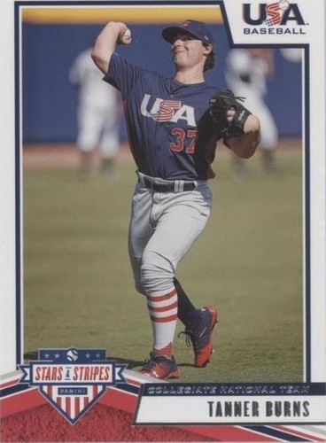 2019 Panini USA Baseball Stars & Stripes - Tanner Burns #15