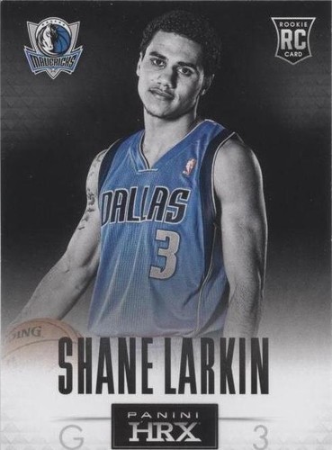 2013-14 Panini Prizm - Shane Larkin #20