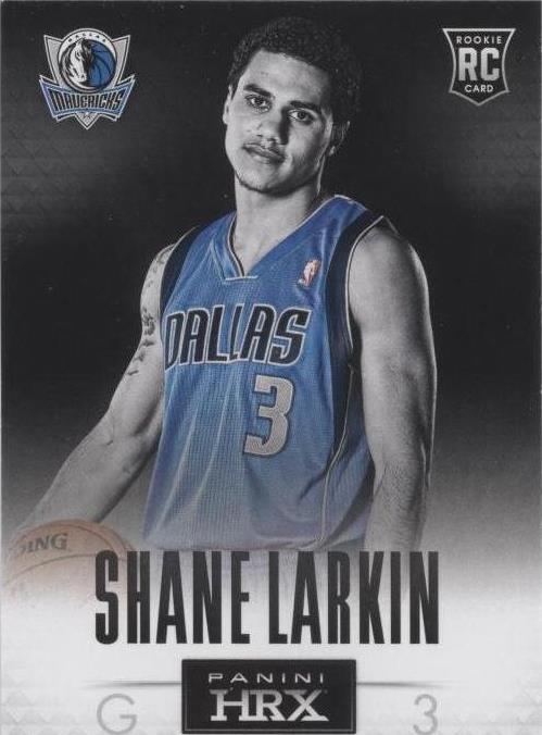 Panini Prizm 2013-14 - Shane Larkin #20