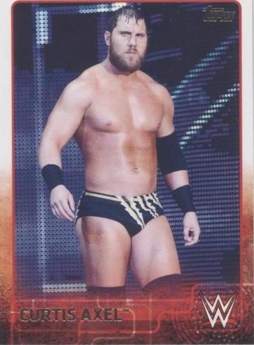 2015 Topps WWE - Michael Mcgillicutty #19