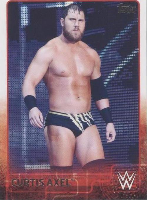 2015 Topps WWE - Michael Mcgillicutty #19