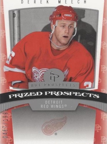 2006-07 Fleer Hot Prospects - Derek Meech #196
