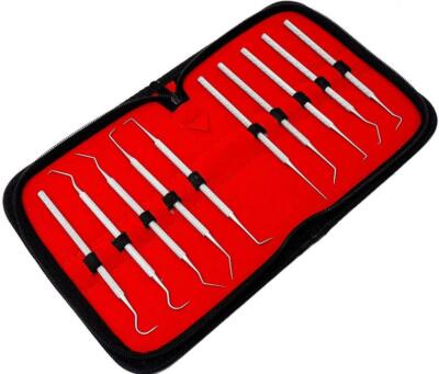 Dental Set Kit Scaler Picks Deep Cleaning Professional Oral Hygiene Tools