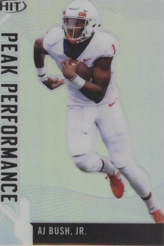 2019 Sage Hit Premier Draft Aj Bush Jr. #PK-AJB2