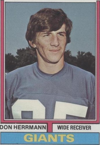 1974 Topps Don Herrmann #481