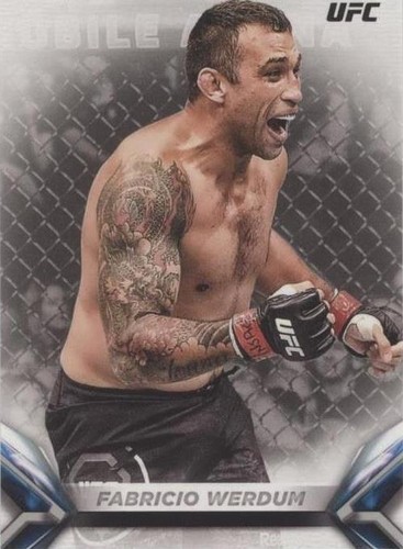 2018 Topps UFC Knockout - Fabricio Werdum #40