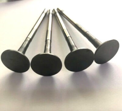 16pcs/set Intake valve / exhaust valves for SAIC ROEWE 350 MG3 MG5 GT 10020743