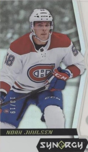 2018-19 Upper Deck Synergy - Noah Juulsen #74