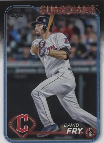 2024 Topps Series 2 - David Fry #446