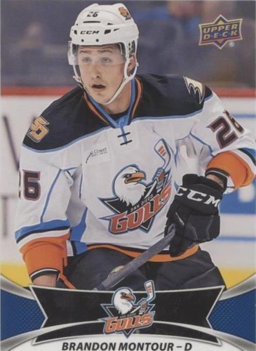 2016-17 Upper Deck AHL - Brandon Montour #110