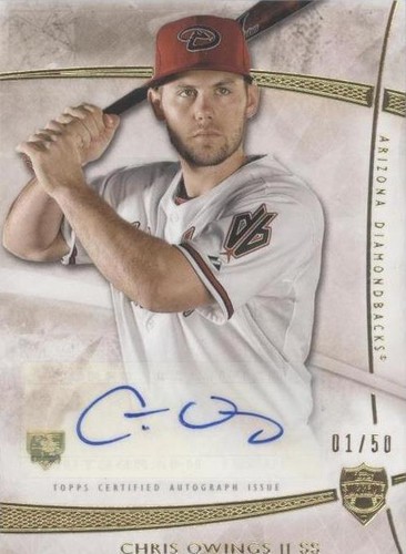 2014 Topps Supreme - Chris Owings #SA-CO