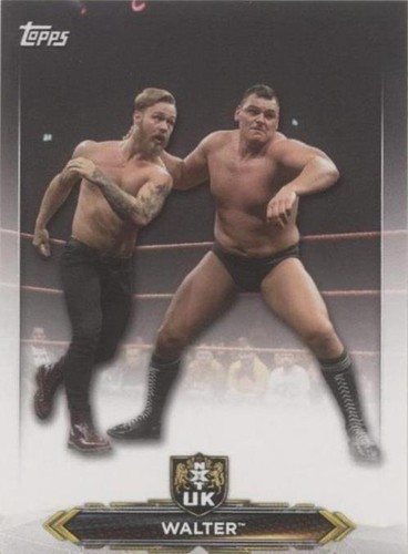 2020 Topps WWE NXT - Walter #NXT-63