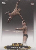 2020 Topps WWE NXT - Joaquin Wilde #NXT-23