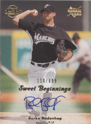 2008 Sweet Spot - Burke Badenhop #112