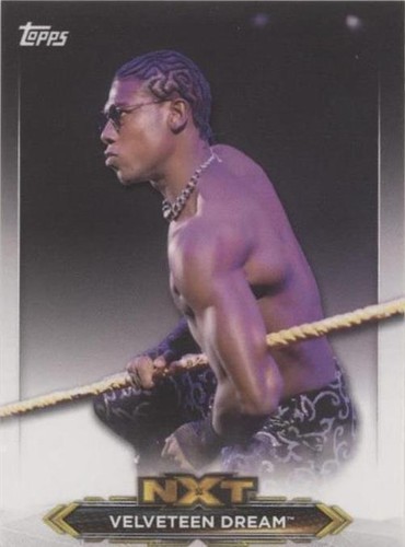 2020 Topps WWE NXT - Velveteen Dream #NXT-48