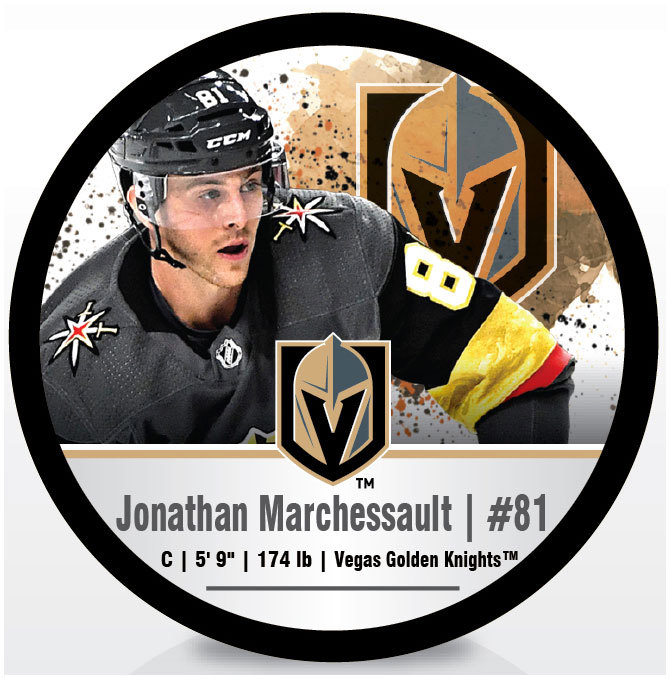 Vegas Golden Knights 6 Puck pkg Mascot Chance, Fleury ...