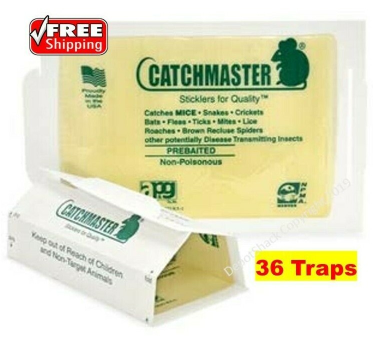 36 Pack Catchmaster Peanut Butter Glue Board Mouse Mice Spider Snake Insect Trap