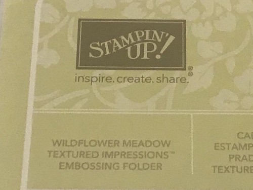 Stampin Up WILDFLOWER MEADOW Textured Impressions Embossing Folder Sizzix