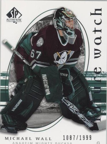 2005-06 SP Authentic - Michael Wall #221
