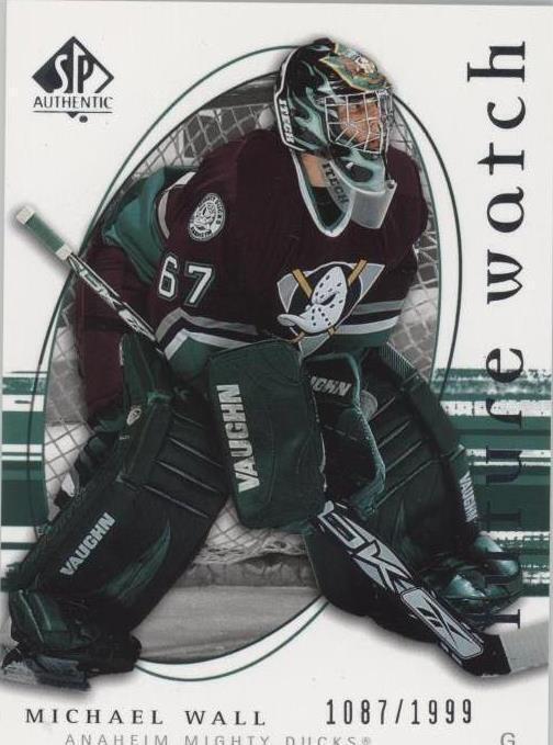 2005-06 SP Authentic - Michael Wall #221