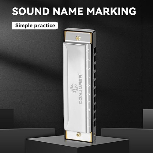 Blues Harmonica 10 Hole Diatonic Harmonica Key C for Beginners Kids Adults Gift