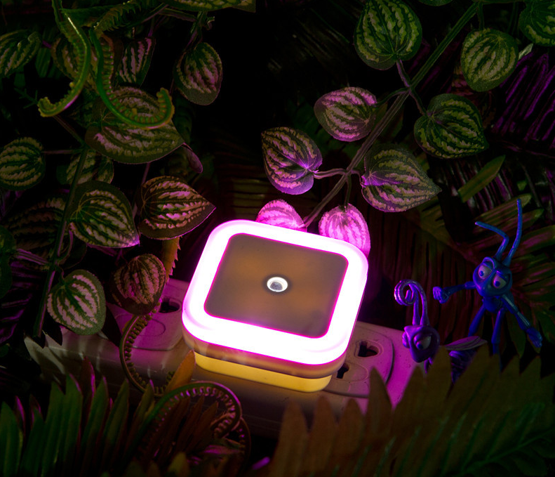 New Halo Energy Night Light Random 1pcs A007