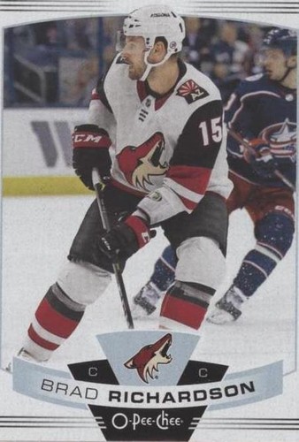 2019-20 O-Pee-Chee - Brad Richardson #454