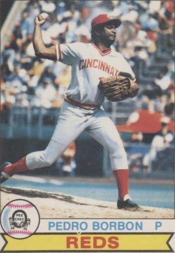 1979 O-Pee-Chee - Pedro Borbon #164