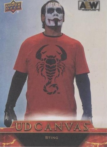 2024 Upper Deck AEW All Elite Wrestling - Sting #C47