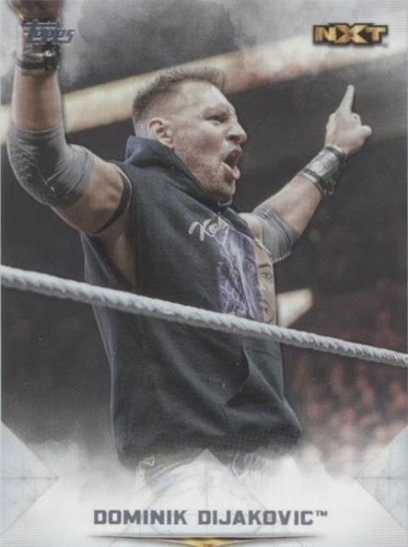 2020 Topps WWE Undisputed - Dominik Dijakovic #57