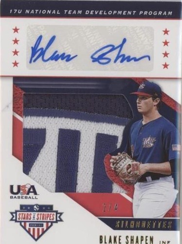 2019 Panini USA Baseball Stars & Stripes - Blake Shapen #USA-DW
