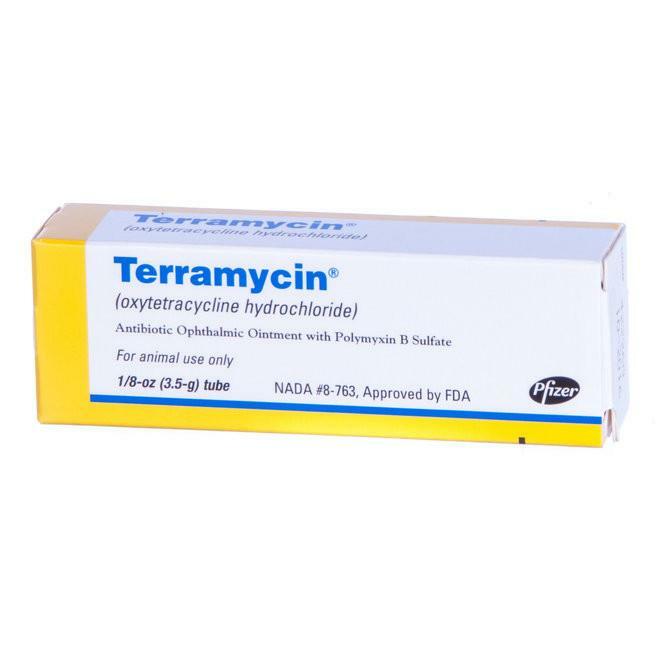 Terramycin Antibiotic Ophthalmic Ointment for cats and dogs